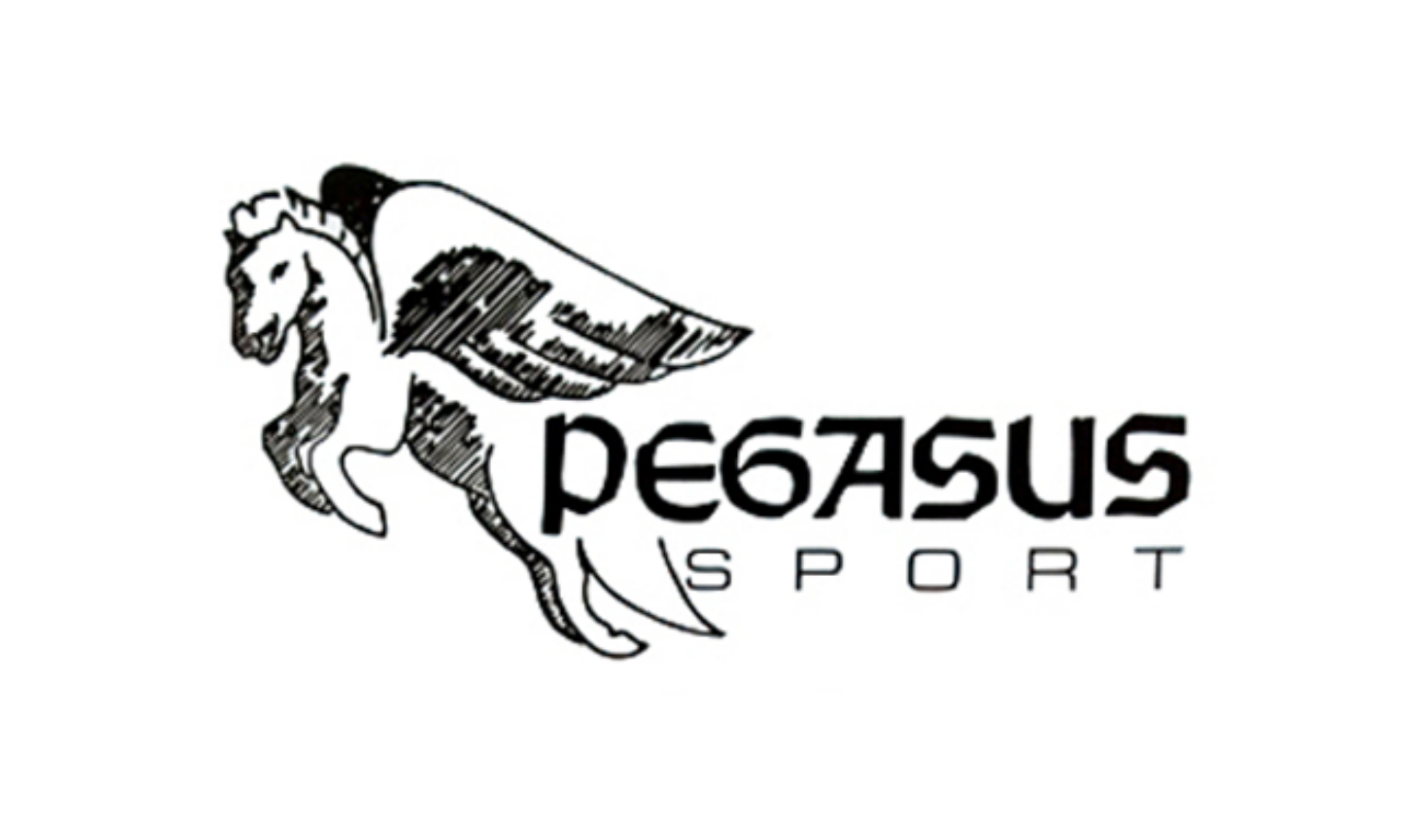 Logo: Pegasus-Sport Laufladen